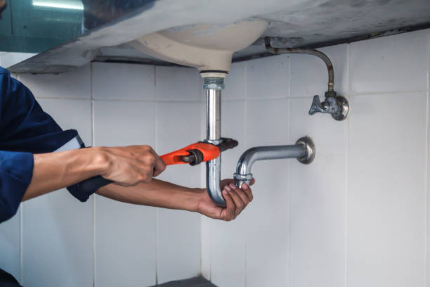 Best Plumbing Inspection Services  in Spurgeon, TN