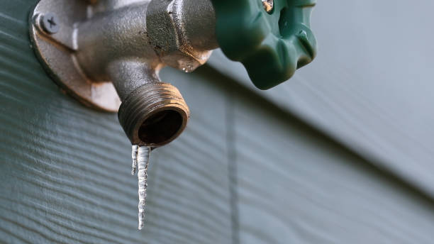 Best Local Plumber Services  in Spurgeon, TN
